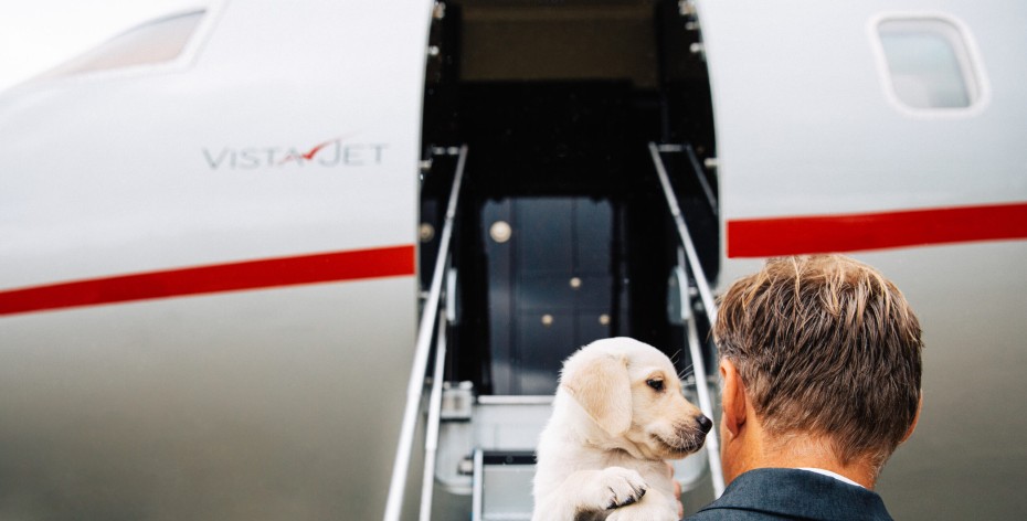 VistaJet đón đầu làn sóng du lịch chuyên cơ cùng thú cưng