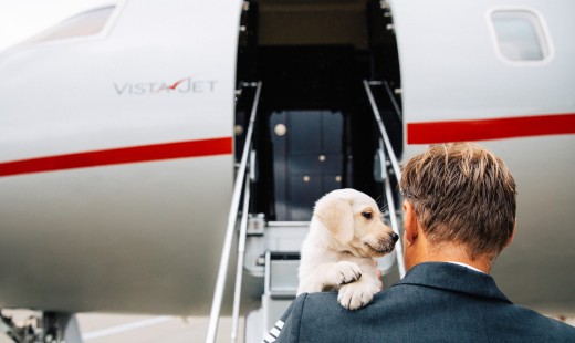 VistaJet đón đầu làn sóng du lịch chuyên cơ cùng thú cưng