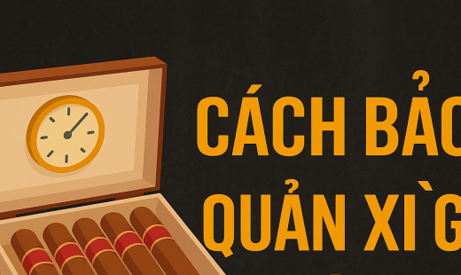 Cách Bảo Quản Xì Gà Đúng Chuẩn Hướng Dẫn Từ A–Z Cho Người Chơi Xì Gà