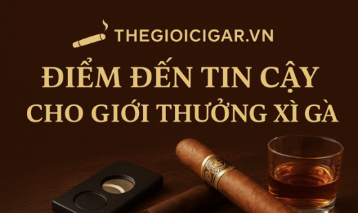 Thegioicigar Điểm đến tin cậy cho giới thượng lưu tại Việt Nam