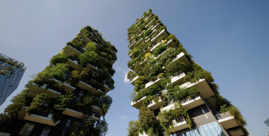 Không gian “chữa lành”: Thiết kế biophilic trong lãnh địa nhà ở và công sở