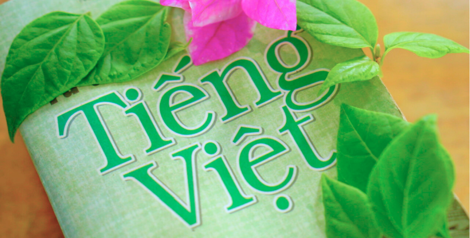 Ngữ pháp Việt Nam, khó hay dễ?