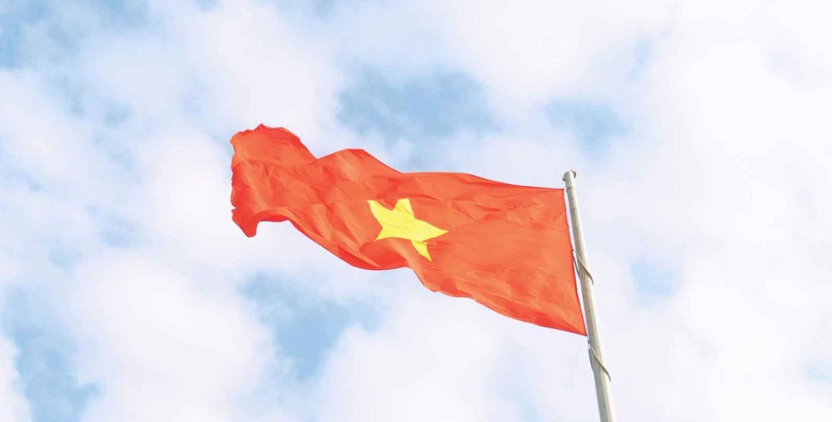 Hoa cải nở tháng Mười: Lẻ loi giữa mùa hay bản lĩnh ngược chiều?
