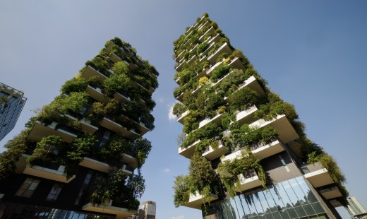 Không gian “chữa lành”: Thiết kế biophilic trong lãnh địa nhà ở và công sở