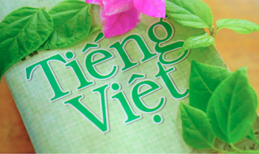 Ngữ pháp Việt Nam, khó hay dễ?