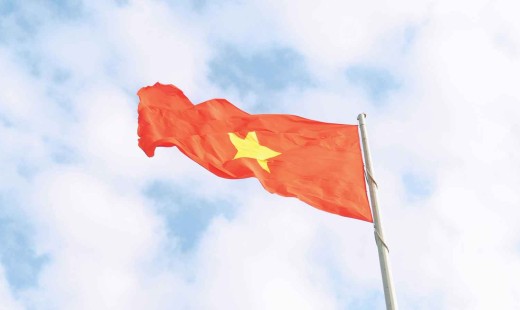 Hoa cải nở tháng Mười: Lẻ loi giữa mùa hay bản lĩnh ngược chiều?