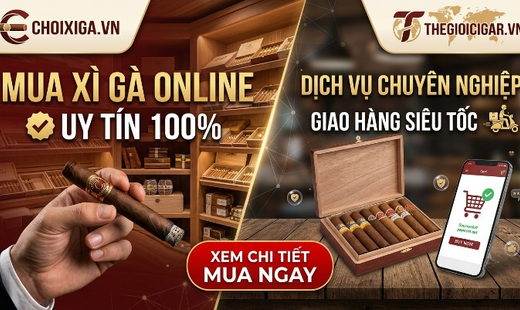 Mua Xì Gà Online Uy Tín: Bí Quyết Chọn Đúng Nơi "Gửi Trọn Bờ Vai" Cho Tín Đồ Sành Khói