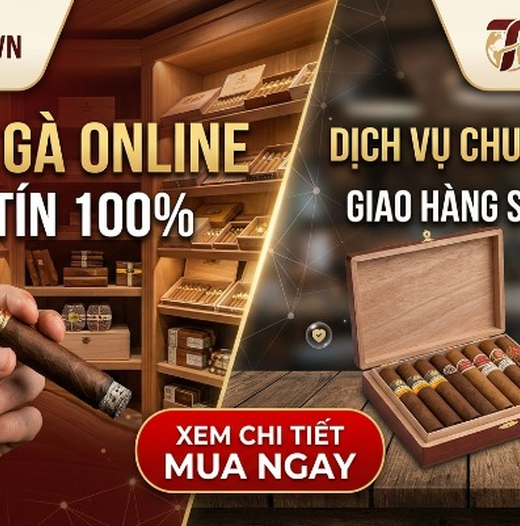 Mua Xì Gà Online Uy Tín: Bí Quyết Chọn Đúng Nơi "Gửi Trọn Bờ Vai" Cho Tín Đồ Sành Khói