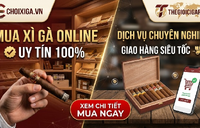 Mua Xì Gà Online Uy Tín: Bí Quyết Chọn Đúng Nơi "Gửi Trọn Bờ Vai" Cho Tín Đồ Sành Khói