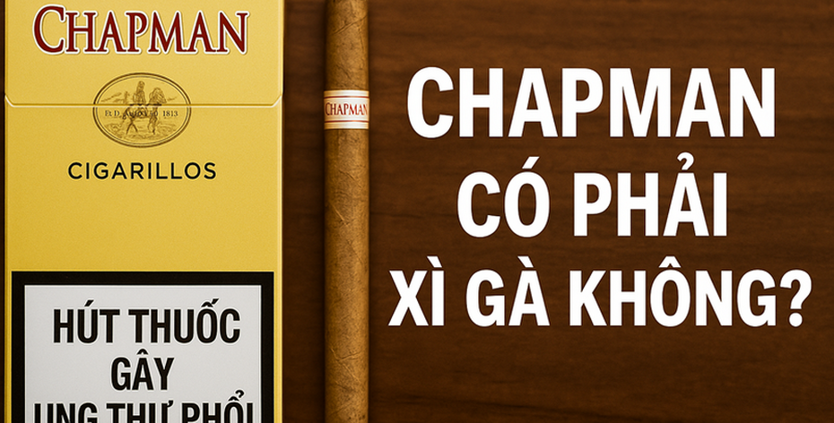 Địa Chỉ Mua Thuốc Lá Chapman Gần Đây: Gợi Ý Nơi Uy Tín, Chính Hãng