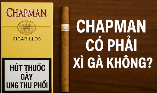 Địa Chỉ Mua Thuốc Lá Chapman Gần Đây: Gợi Ý Nơi Uy Tín, Chính Hãng